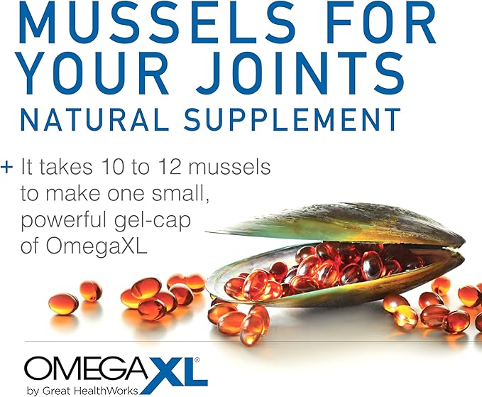 OmegaXL Joint Support Supplement, for Relief - Natural Muscle Support, Green Lipped Mussel Oil, Soft Gel Pills, Drug-Free, 60 Count